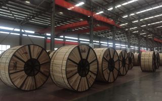  Foreign customers visit our company
