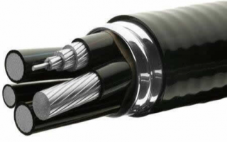 Steel armored wire cable